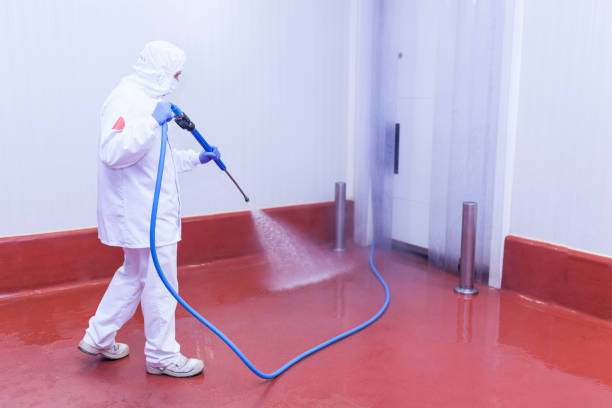 Trusted Martinsville, NJ Pressure Washing Services Experts